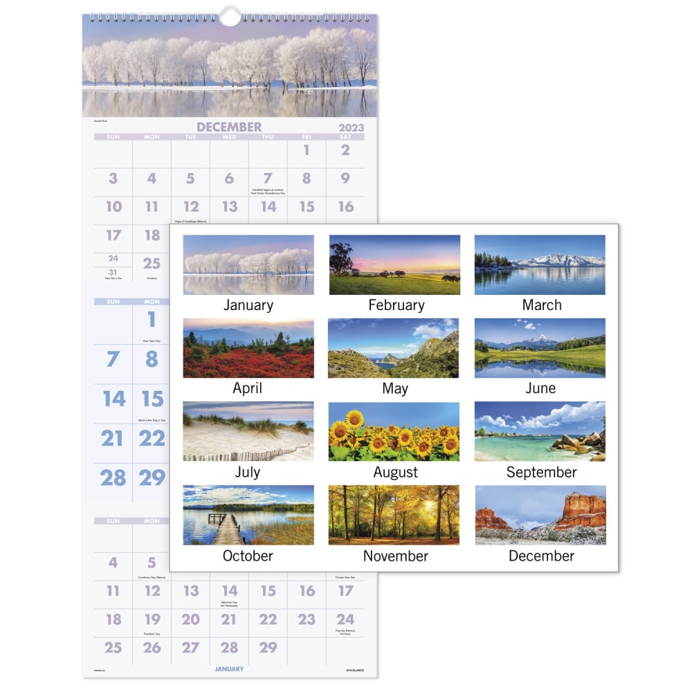 2023-2025 AT-A-GLANCE Scenic 3-Month Wall Calendar, 12in x 27in, December 2023 to January 2025, DMW50328