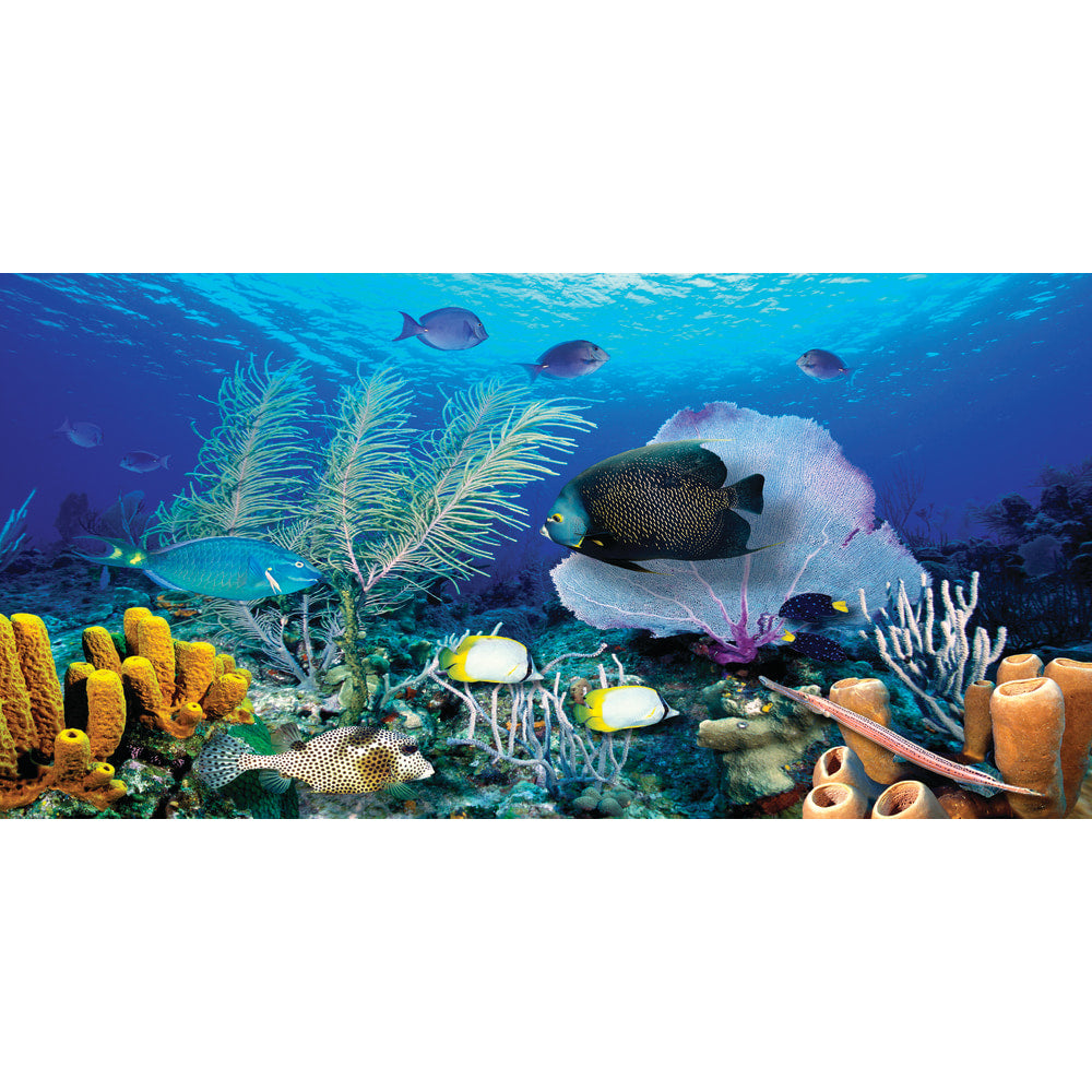 Biggies Wall Mural, 60in x 120in, Ocean Reef