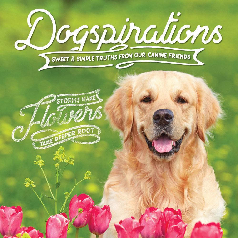 Willow Creek Press 5-1/2in x 5-1/2in Hardcover Gift Book, Dogspirations