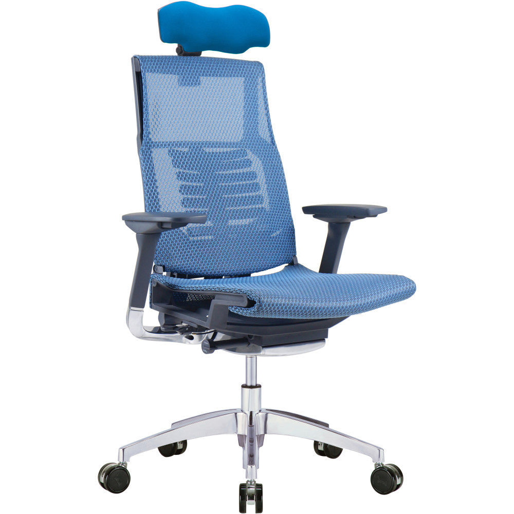 Raynor Powerfit Ergonomic Mesh High-Back Executive Office Chair, Blue/Black