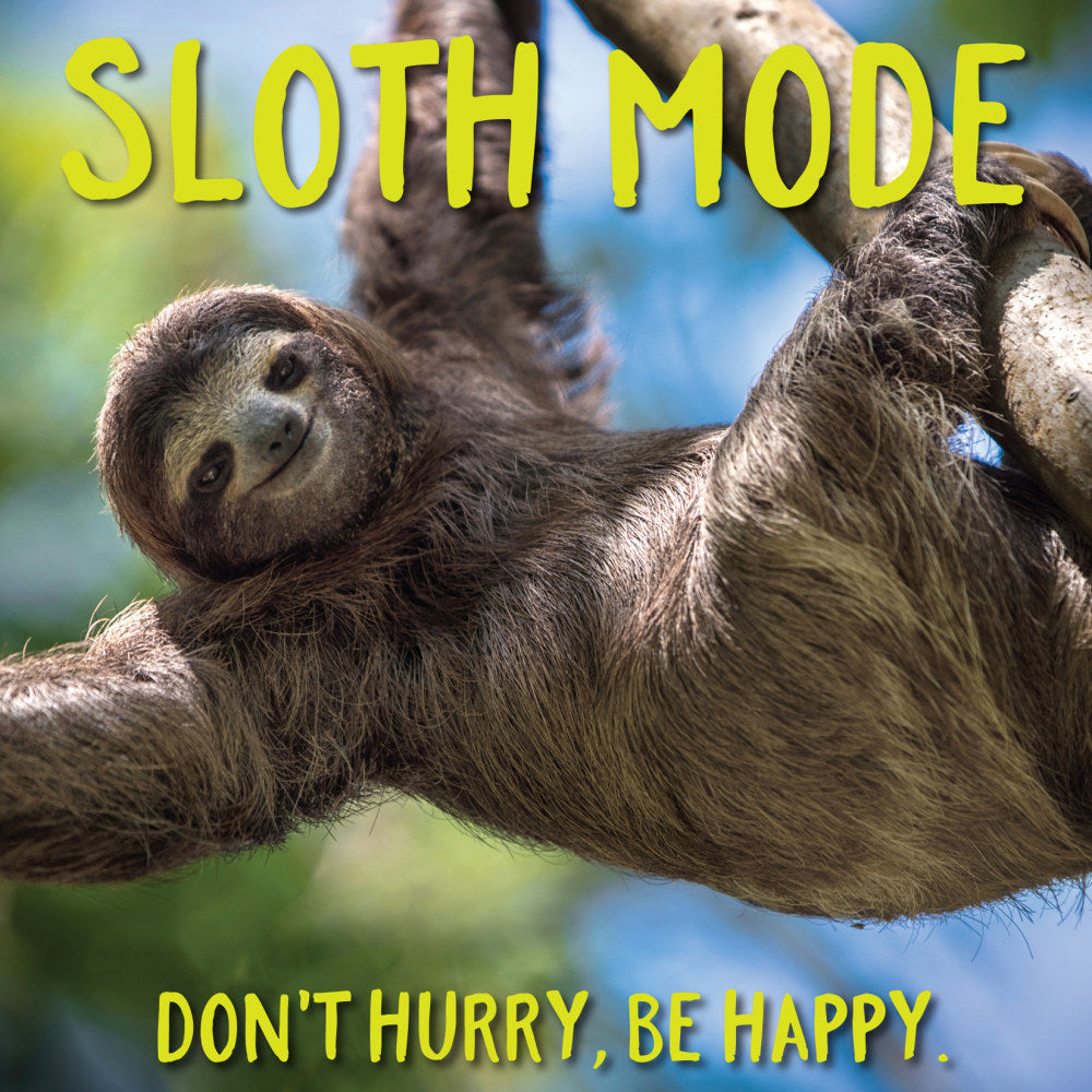 Willow Creek Press 5-1/2in x 5-1/2in Hardcover Gift Book, Sloth Mode