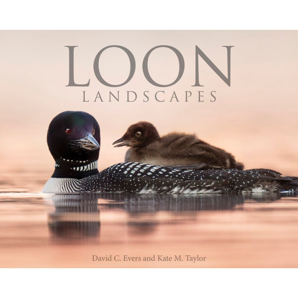 Willow Creek Press 8in x 10in Hardcover Gift Book, Loon Landscapes By Evers & Taylor