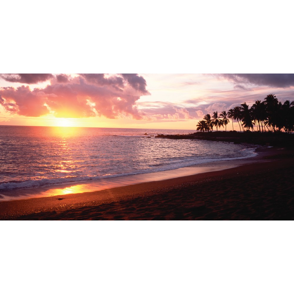 Biggies Wall Mural, 27in x 54in, Sunset