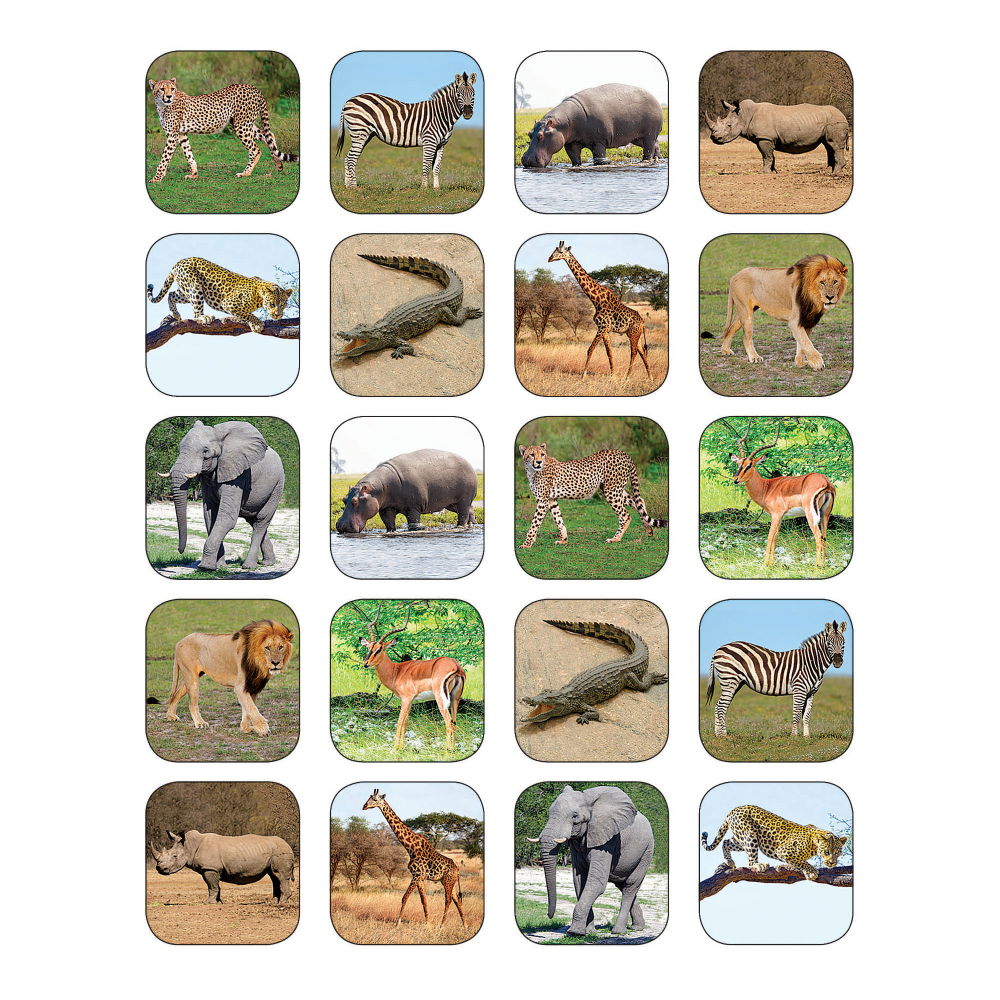 Teacher Created Resources Stickers, Safari Animals, 120 Stickers Per Pack, Set Of 12 Packs