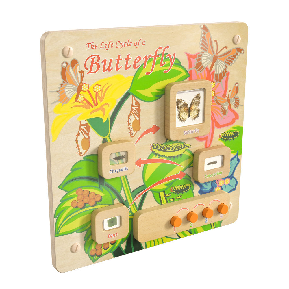 Flash Furniture Bright Beginnings Commercial Grade Wooden Butterfly Life Cycle STEAM Wall Accessory Board, Beech