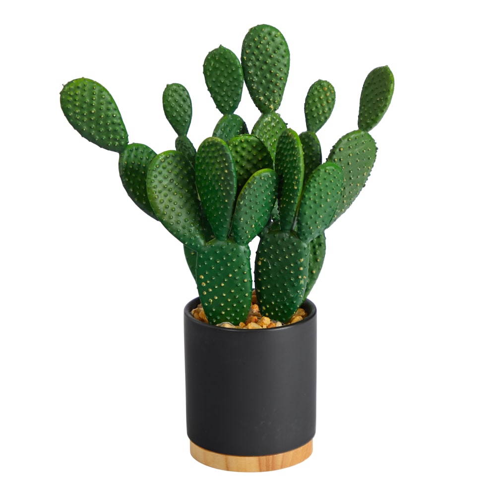 Nearly Natural Cactus Succulent 10inH Artificial Plant With Planter, 10inH x 6inW x 3inD, Green