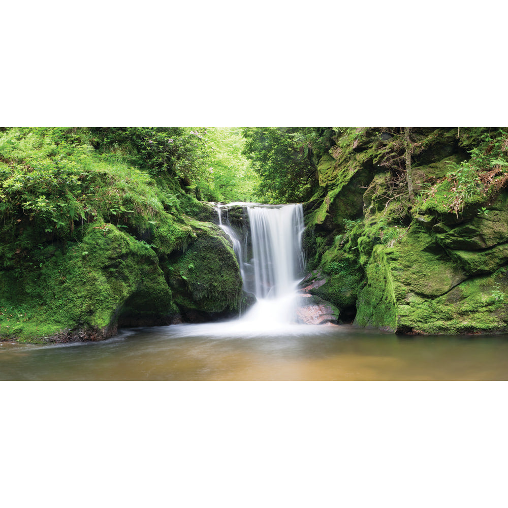 Biggies Wall Mural, 27in x 54in, Waterfall