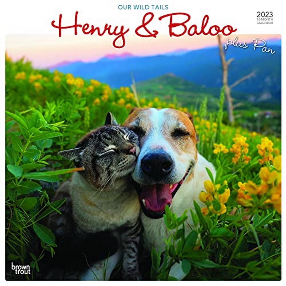 Brown Trout Humor & Comics Monthly Wall Calendar, 12in x 12in, Henry & Baloo Our Wild Tails, January To December 2023