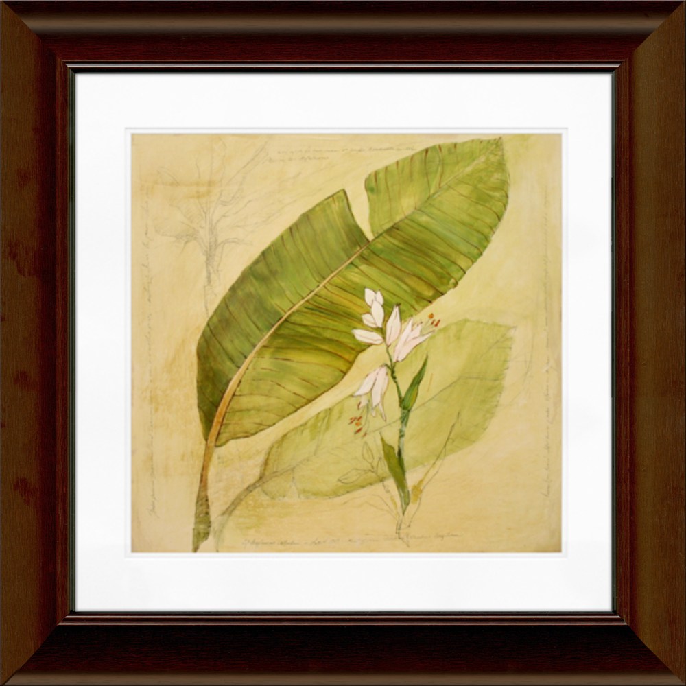 Timeless Frames Katrina Framed Floral Artwork, 12in x 12in, Brown, Botanical Study I