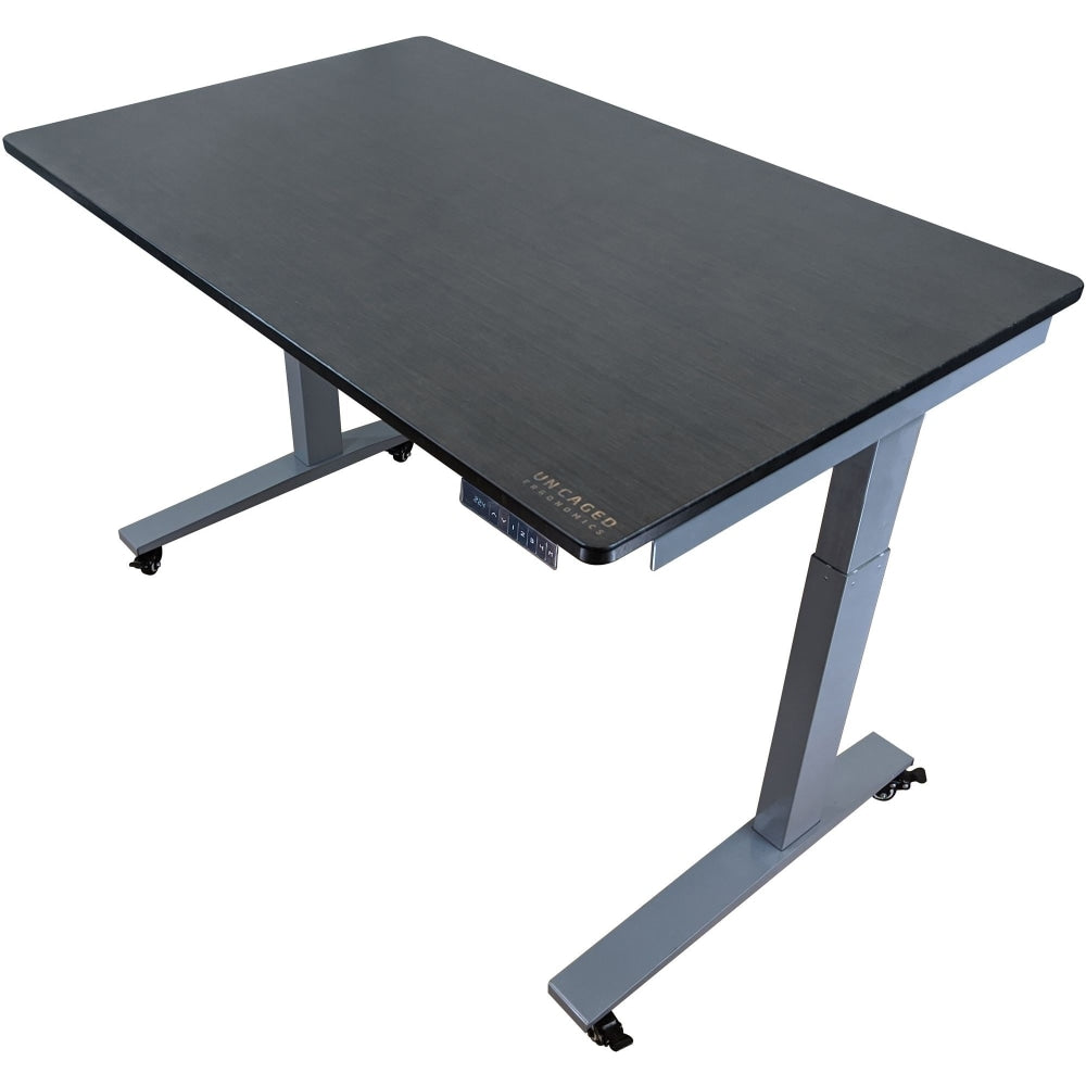 Rise Up Electric 48inW Standing Computer Desk, Gray