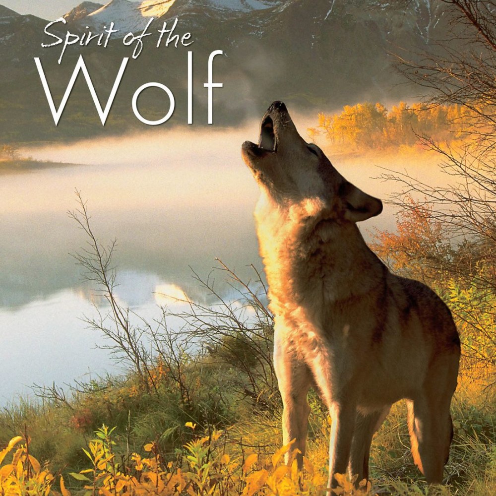 Willow Creek Press 7in x 7in Hardcover Gift Book, Spirit Of The Wolf