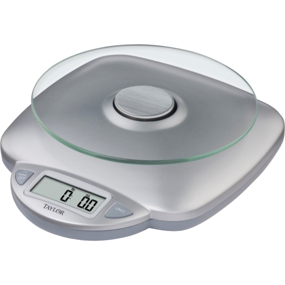 Taylor Digital Food Scale, 8in x 9.4in x 2.8in, Silver