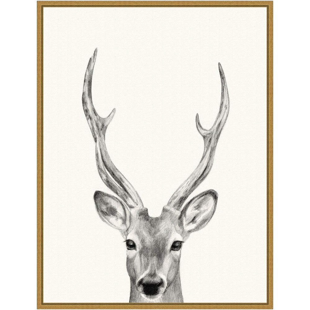 Amanti Art Animal Mug IV Deer by Victoria Borges Framed Canvas Wall Art Print, 24inH x 18inW, Gold