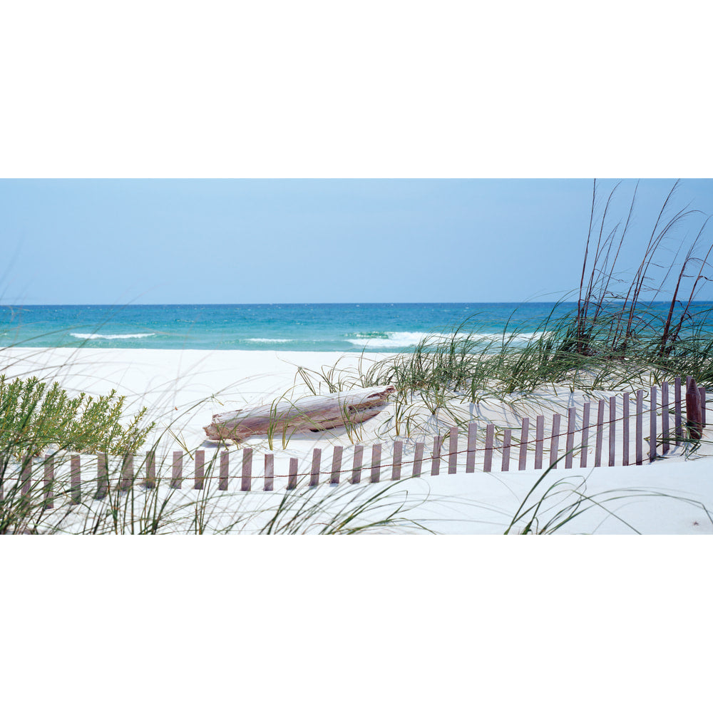 Biggies Wall Mural, 40in x 80in, Carolina Coast