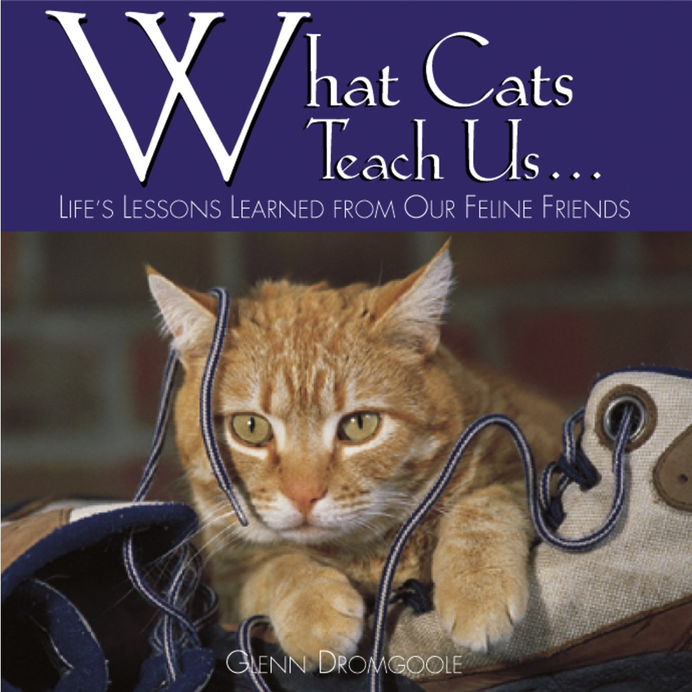 Willow Creek Press 5-1/2in x 5-1/2in Hardcover Gift Book, What Cats Teach Us By Glenn Dromgoole