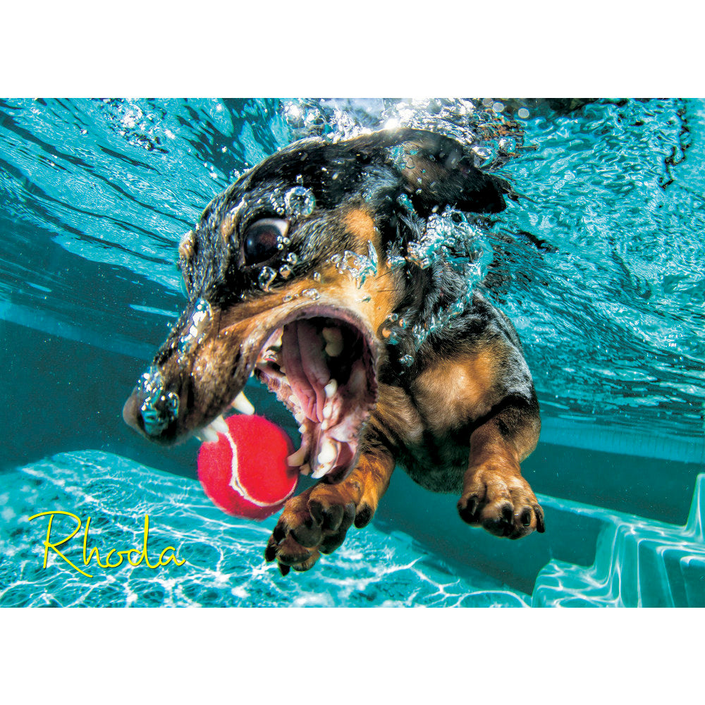 Willow Creek Press 1,000-Piece Puzzle, 26-5/8in x 19-1/4in, Underwater Dogs: Rhoda