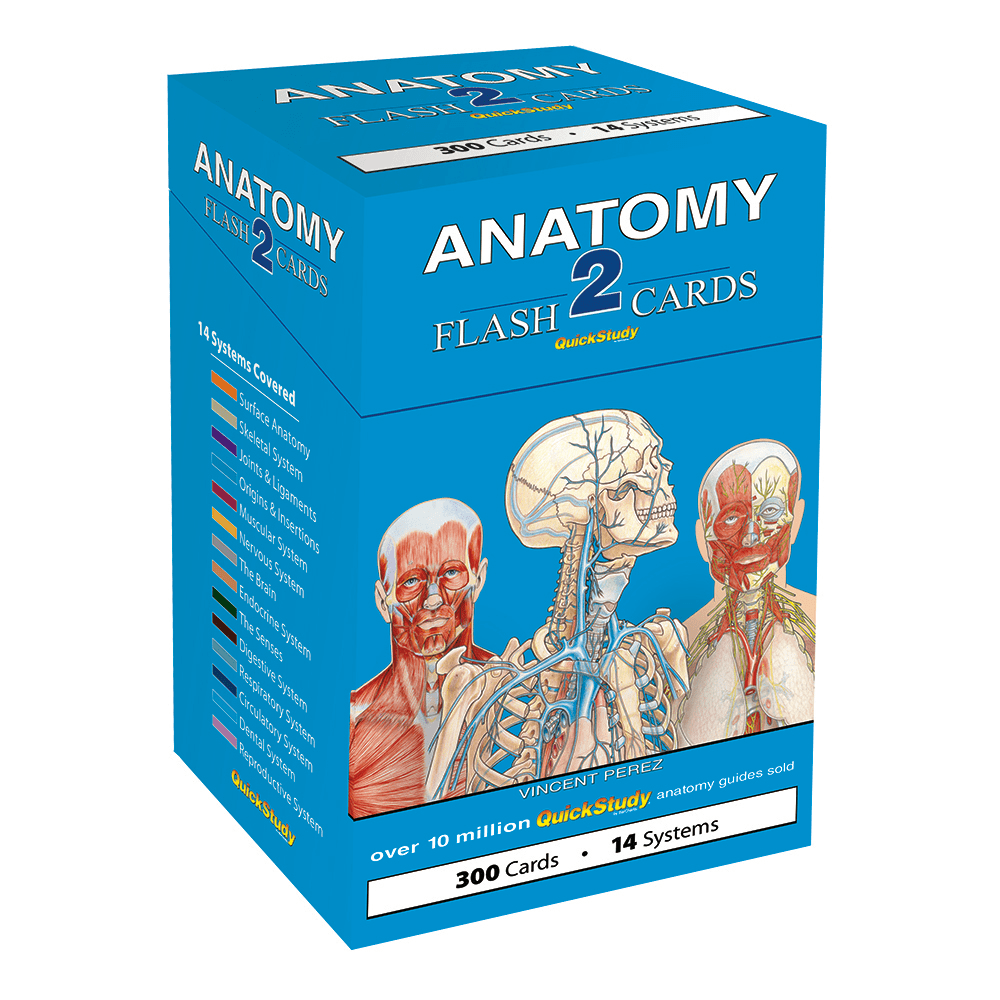 QuickStudy Flash Cards, 4in x 3-1/2in, Human Anatomy 2, Pack Of 300 Cards