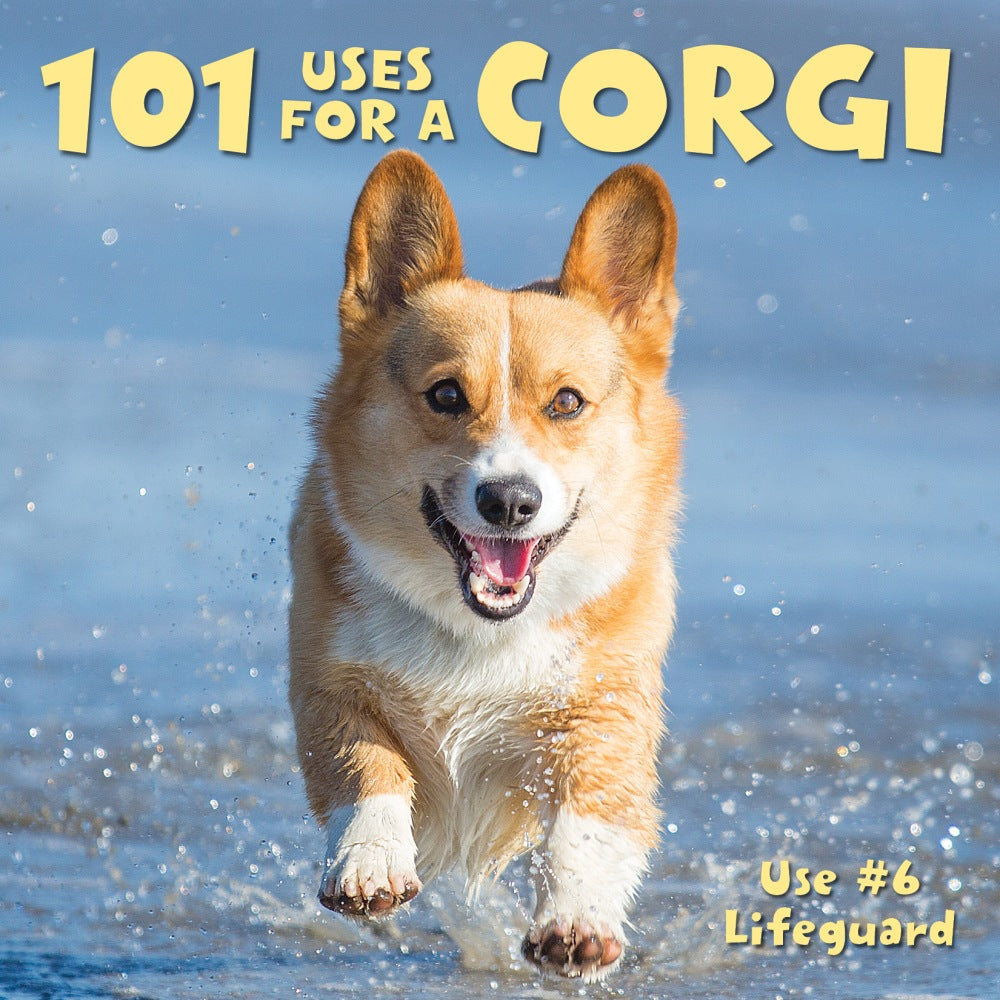 Willow Creek Press 5-1/2in x 5-1/2in Hardcover Gift Book, 101 Uses For A Corgi