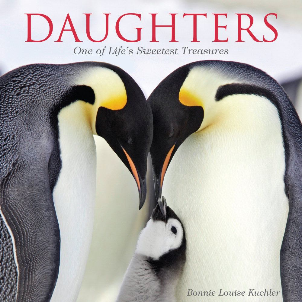 Willow Creek Press 5-1/2in x 5-1/2in Hardcover Gift Book, Daughters By Bonnie Kuchler