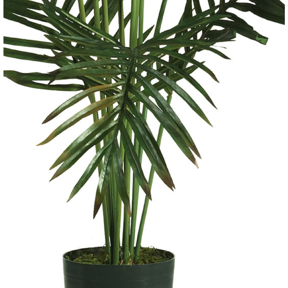 Nearly Natural 5ftH Paradise Palm Tree With Pot, Green