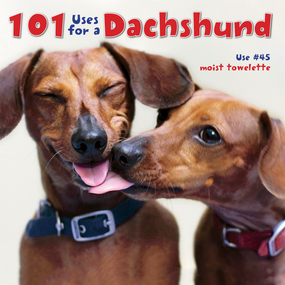 Willow Creek Press 5-1/2in x 5-1/2in Hardcover Gift Book, 101 Uses For A Dachshund