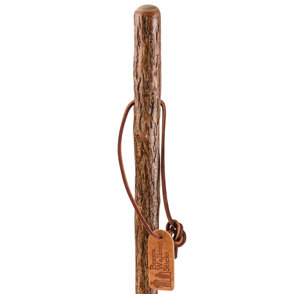 Brazos Walking Sticks Free Form Sassafras Walking Stick, 55in