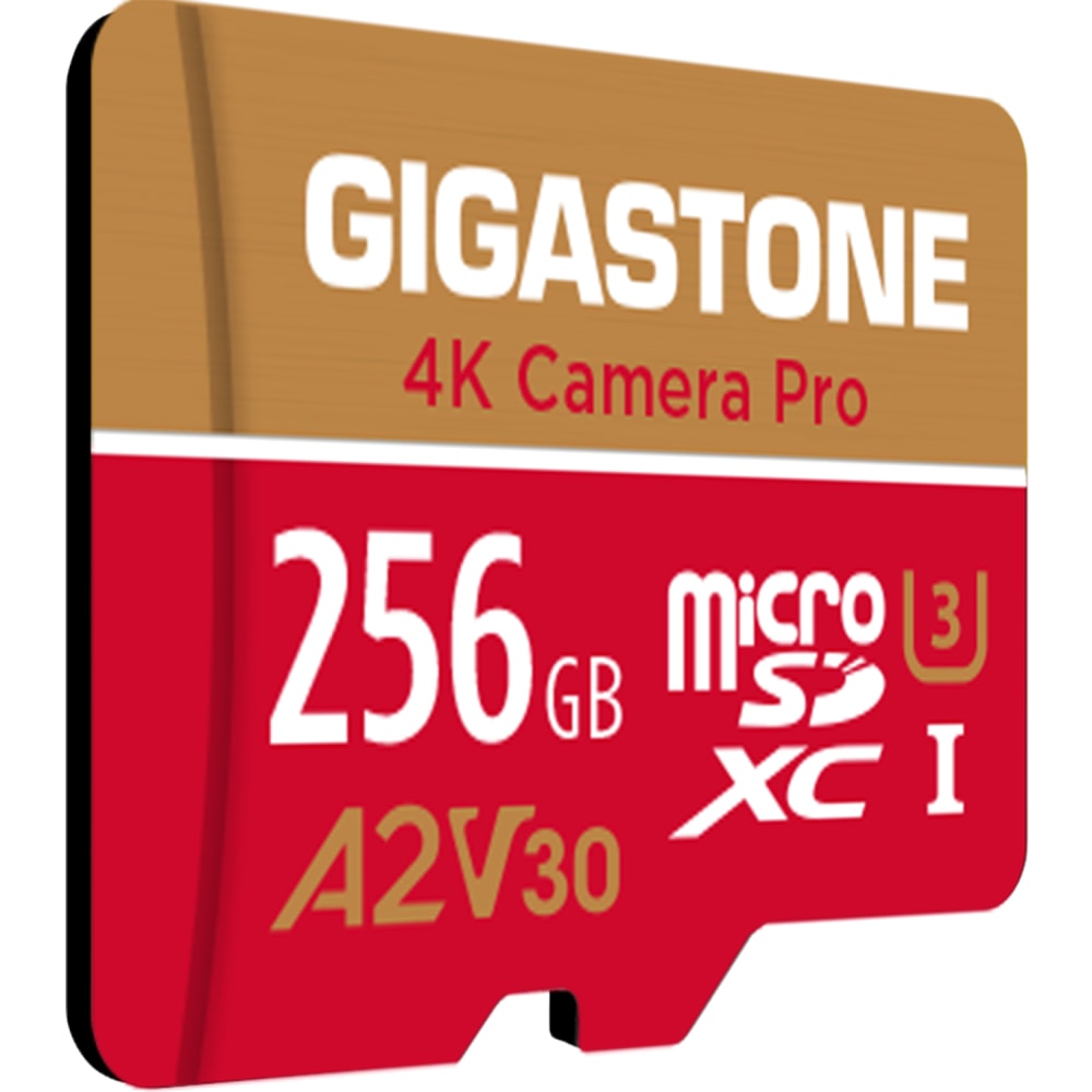 Dane-Elec Gigastone 4K Class10 U3 A2 V30 Camera Pro MicroSDXC Card, 256GB