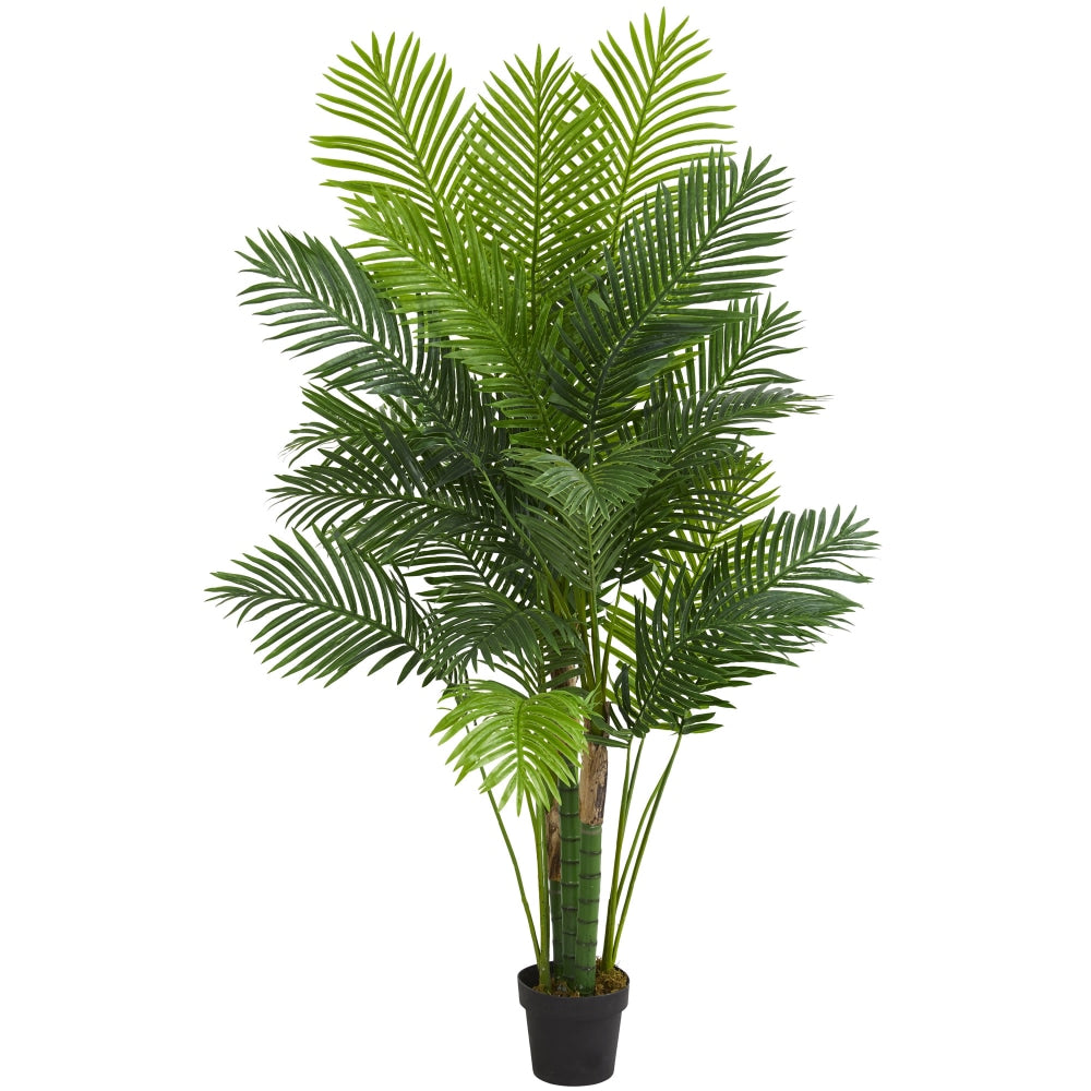 Nearly Natural Hawaii Palm 72inH Artificial Tree, 72inH x 14inW x 6-1/2inD, Green