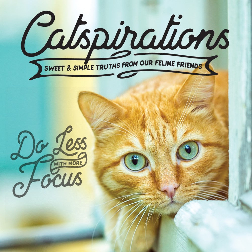 Willow Creek Press 5-1/2in x 5-1/2in Hardcover Gift Book, Catspirations