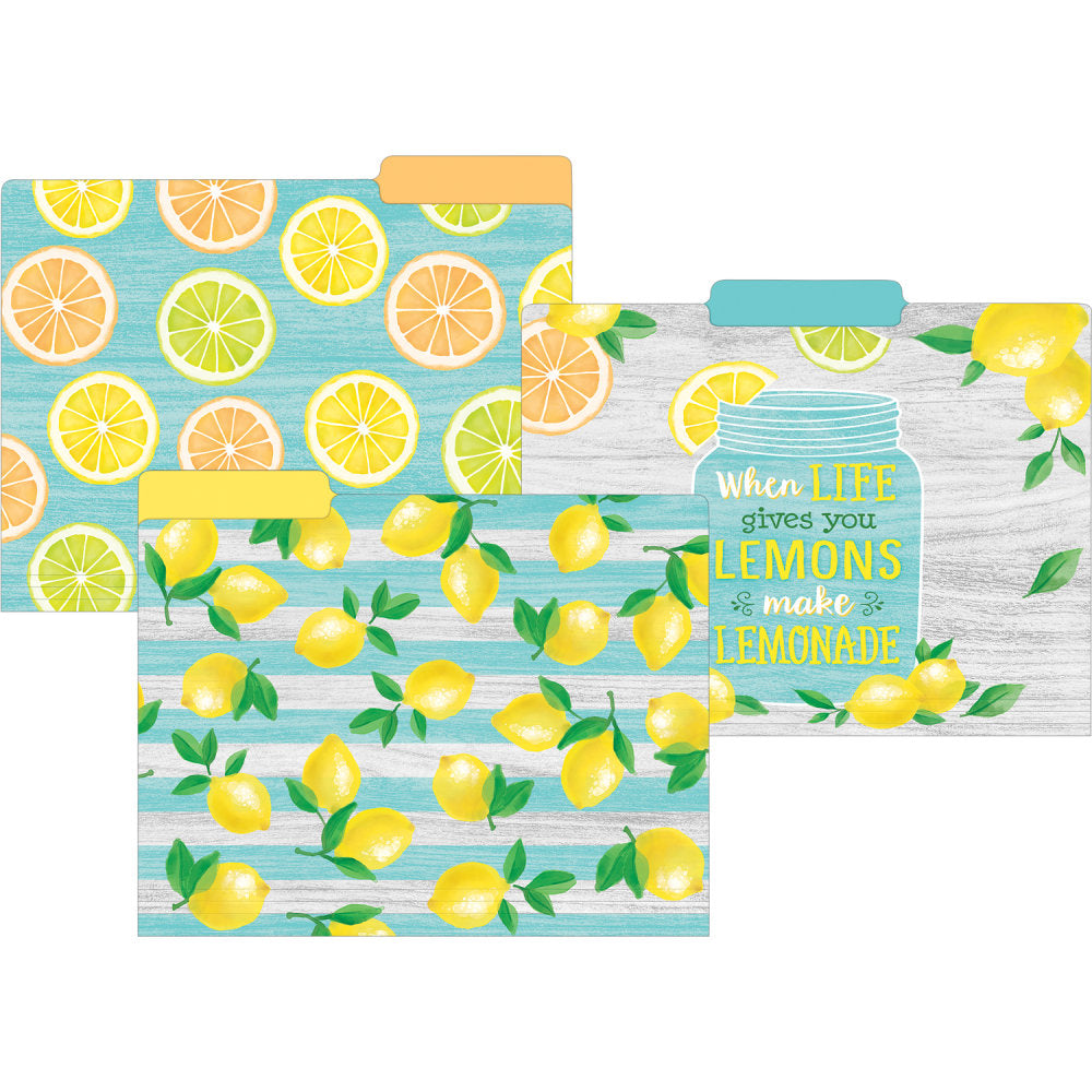 Teacher Created Resources Lemon Zest File Folders, 8-1/2in x 11in, Multicolor, 12 Folders Per Pack, Set Of 2 Packs