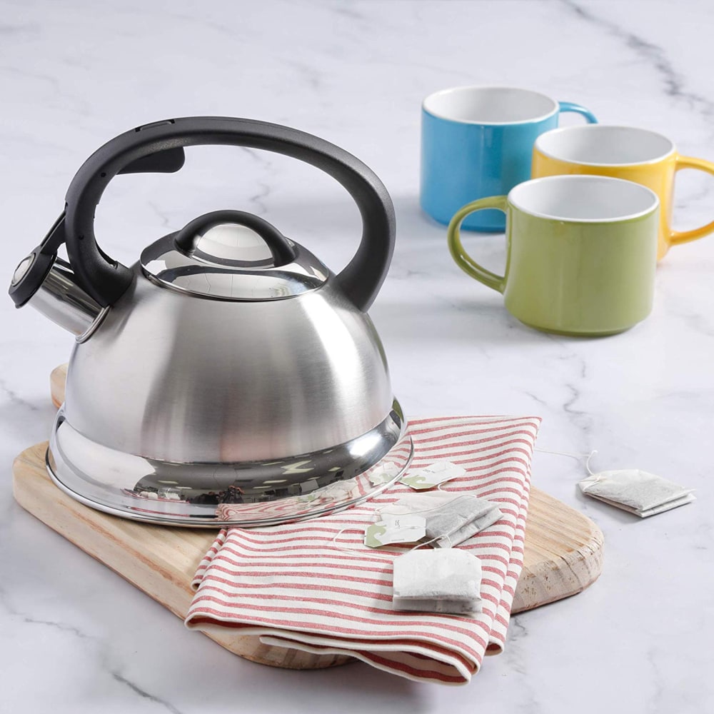 Mr. Coffee 1.7-Quart Tea Kettle, Flintshire, Silver