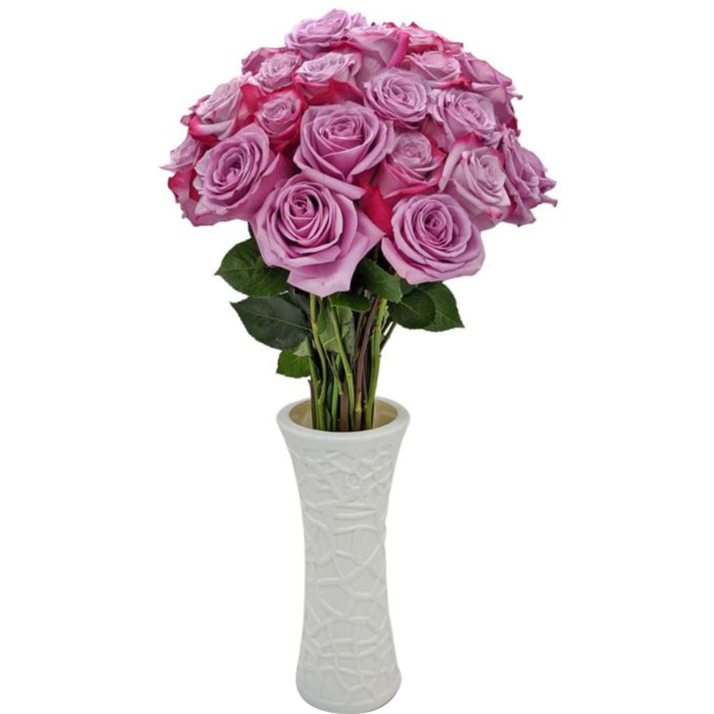 Rose Farmers Bi-Color Long Stem Roses, Purple/Magenta, Box Of 12 Roses