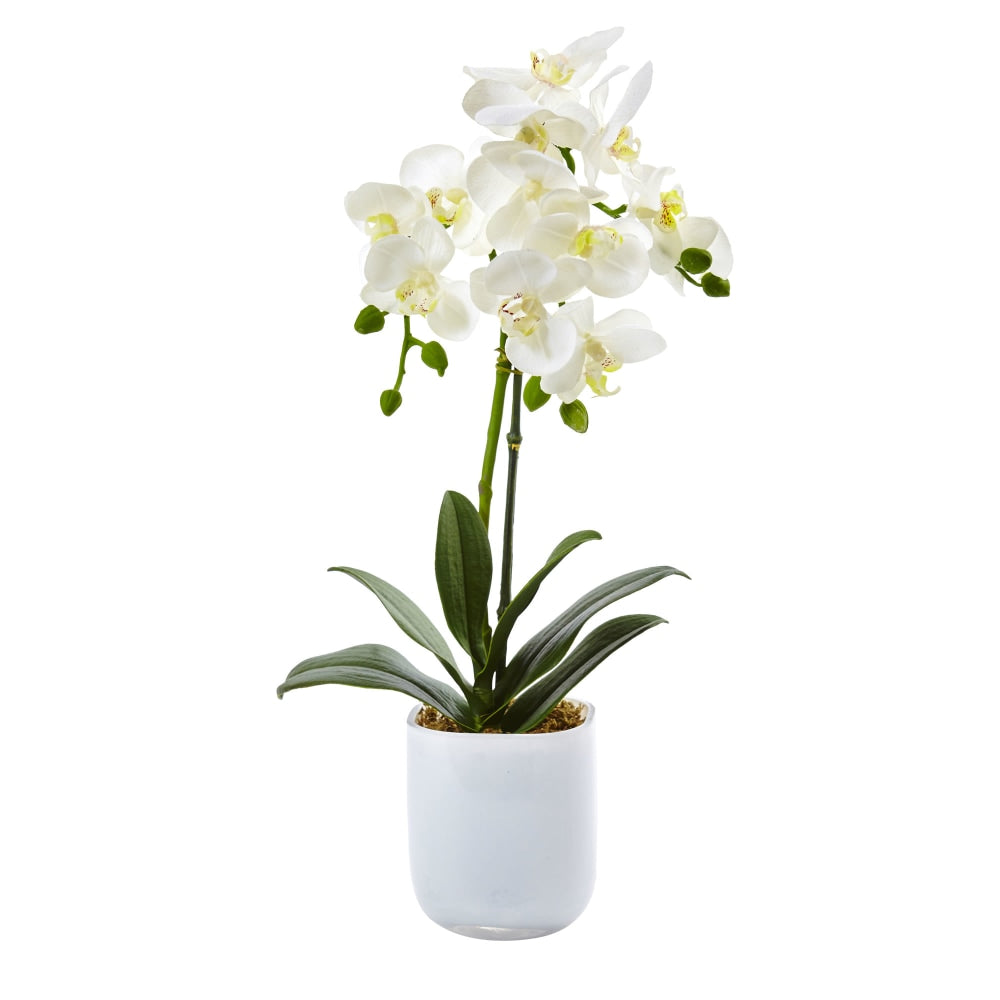 Nearly Natural Phalaenopsis Orchid 18-1/2inH Plastic Floral Arrangement With Frosted Glass Vase, 18-1/2inH x 8inW x 5inD, White