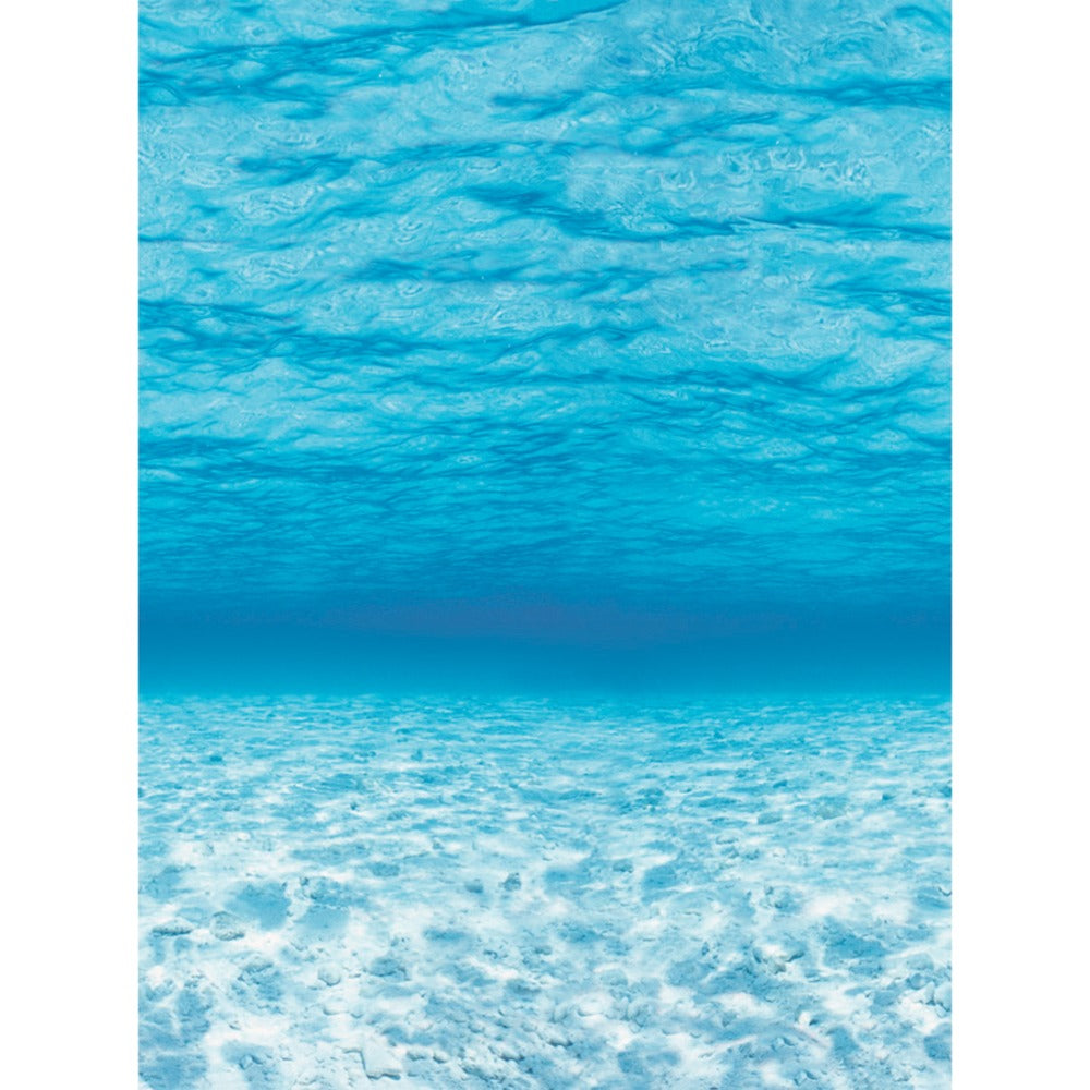 Pacon Fadeless Designs Bulletin Board Paper, 48in x 50ft, Under The Sea