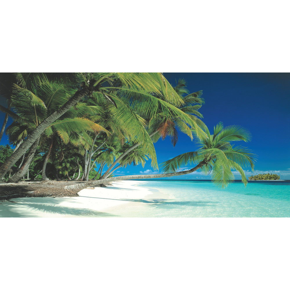 Biggies Wall Mural, 60in x 120in, Beach