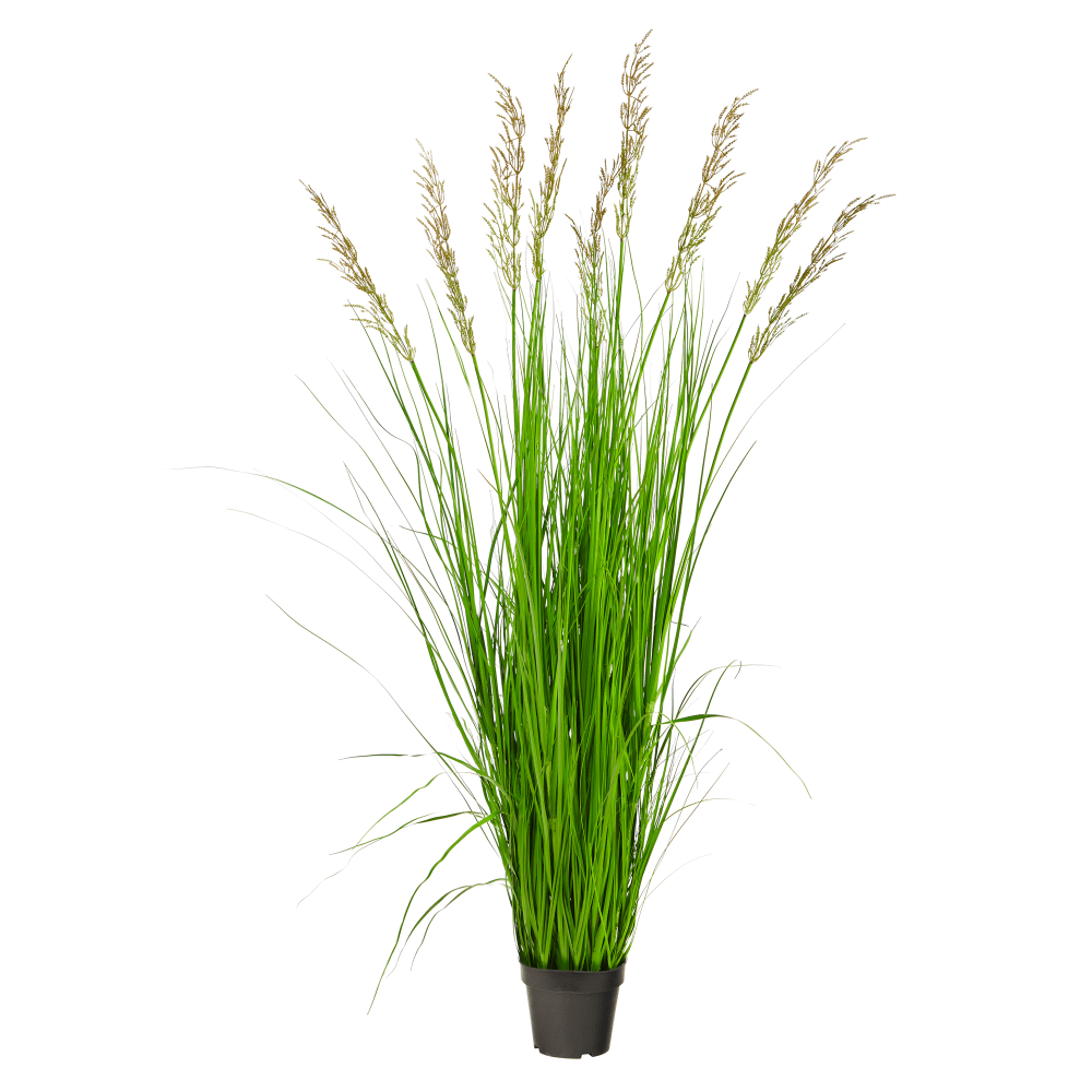 Nearly Natural Plume Grass 66inH Artificial Plant With Planter, 66inH x 24inW x 24inD, Green/Black