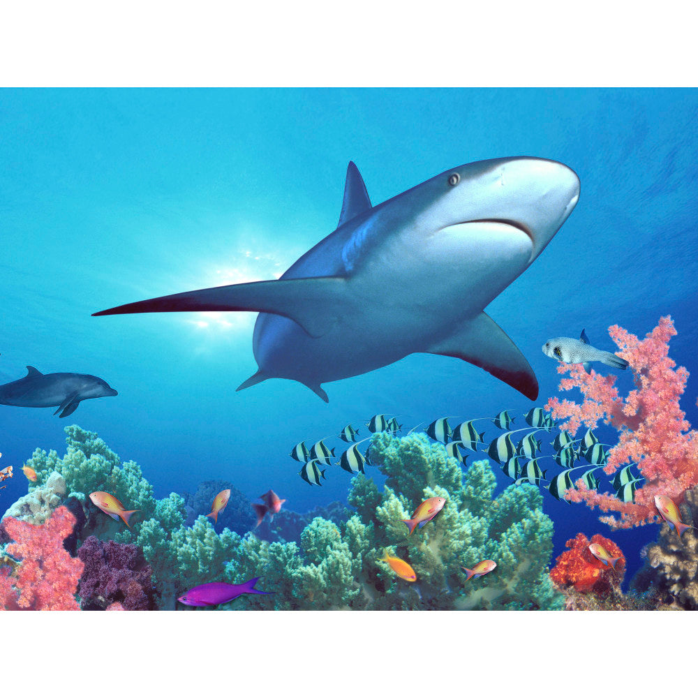 Biggies Landscape/Seascape Mural, 48in x 36in, Unframed, Shark Reef