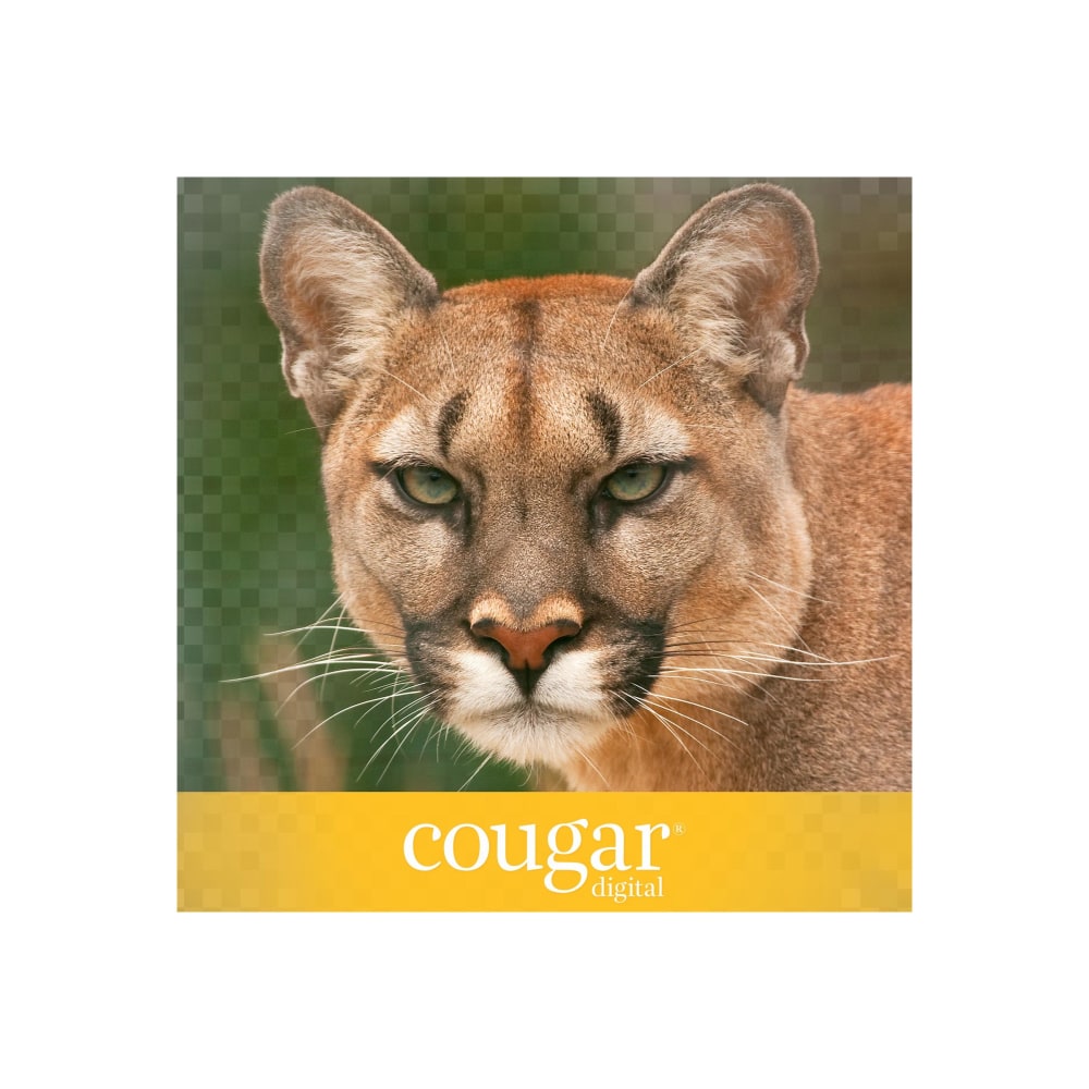 Cougar Digital Printing Paper, Letter Size (8 1/2in x 11in), 98 (U.S.) Brightness, 70 Lb Text (104 gsm), FSC Certified, 500 Sheets Per Ream, Case Of 8 Reams