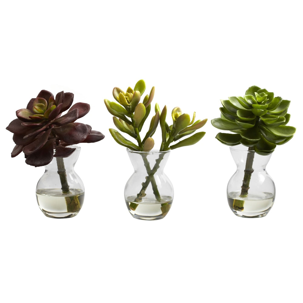 Nearly Natural 5-1/2inH Succulent Arrangements With Glass Vases, Green, Set Of 3 Arrangements