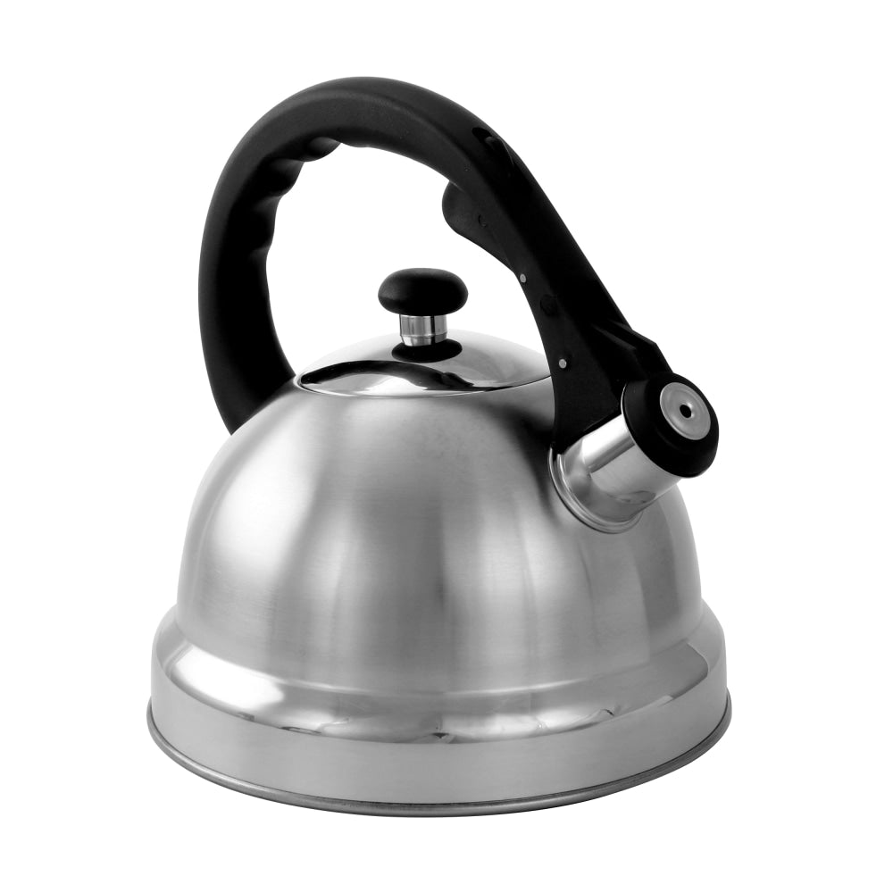 Mr. Coffee 1.7-Quart Tea Kettle, Claredale, Silver