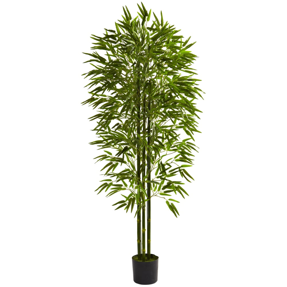 Nearly Natural Bamboo 72inH Plastic UV Resistant Indoor/Outdoor Tree, 72inH x 33inW x 33inD, Green