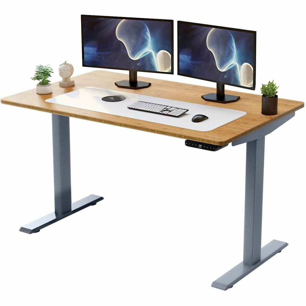 Rise Up Electric 60inW Standing Computer Desk, Natural/Silver