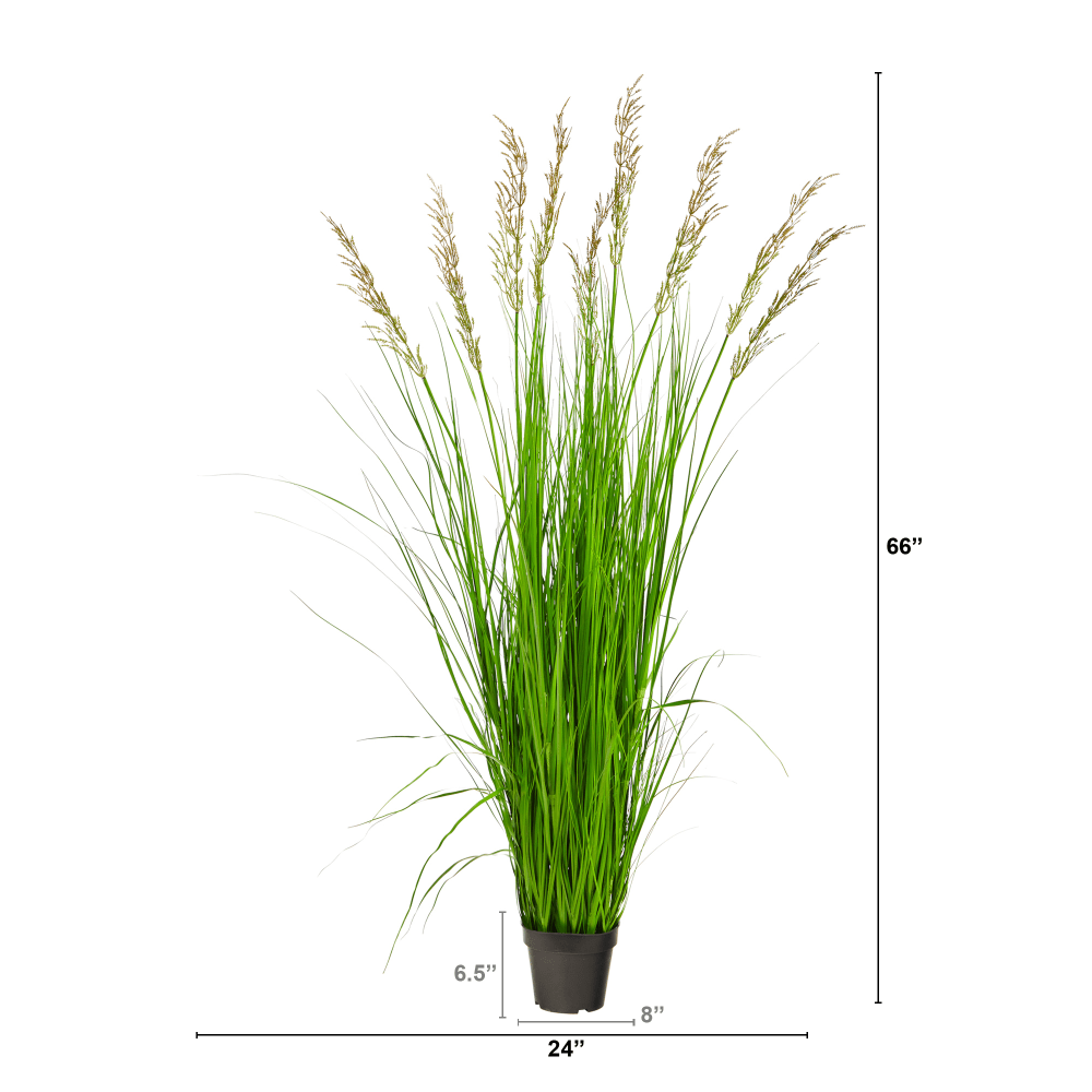 Nearly Natural Plume Grass 66inH Artificial Plant With Planter, 66inH x 24inW x 24inD, Green/Black