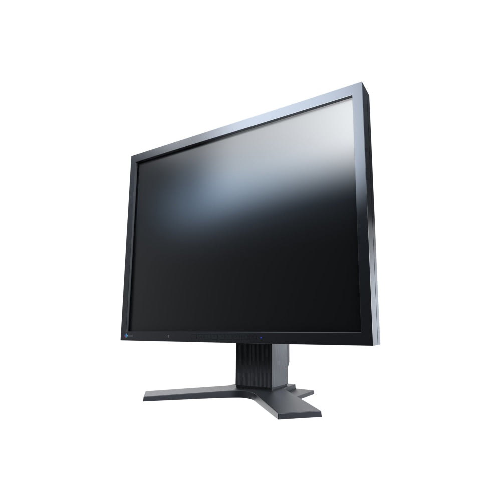 EIZO FlexScan S2133-BK - LED monitor - 21.3in - 1600 x 1200 - IPS - 420 cd/m2 - 1500:1 - 6 ms - DVI-D, VGA, DisplayPort - black