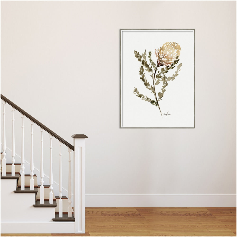 Amanti Art Wild Banksia by Sara Berrenson Wood Framed Wall Art Print, 31inW x 41inH, White