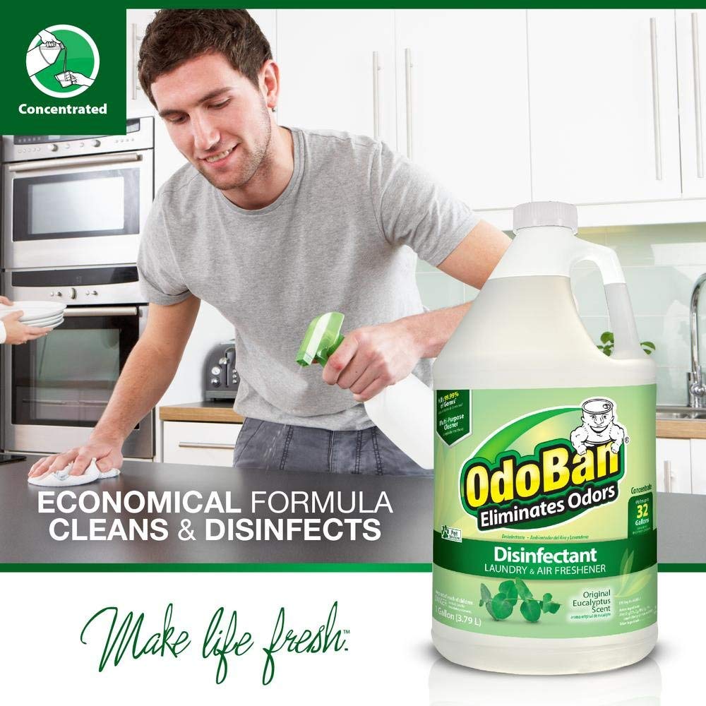 OdoBan Odor Eliminator Disinfectant, Original Eucalyptus Scent, Case Of 2 Quart Sprays And 2 Gallon Concentrates