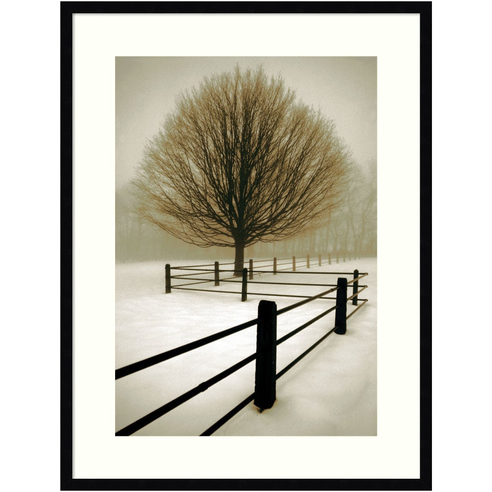 Amanti Art Solitude by David Lorenz Winston Wood Framed Wall Art Print, 25inW x 33inH, Black