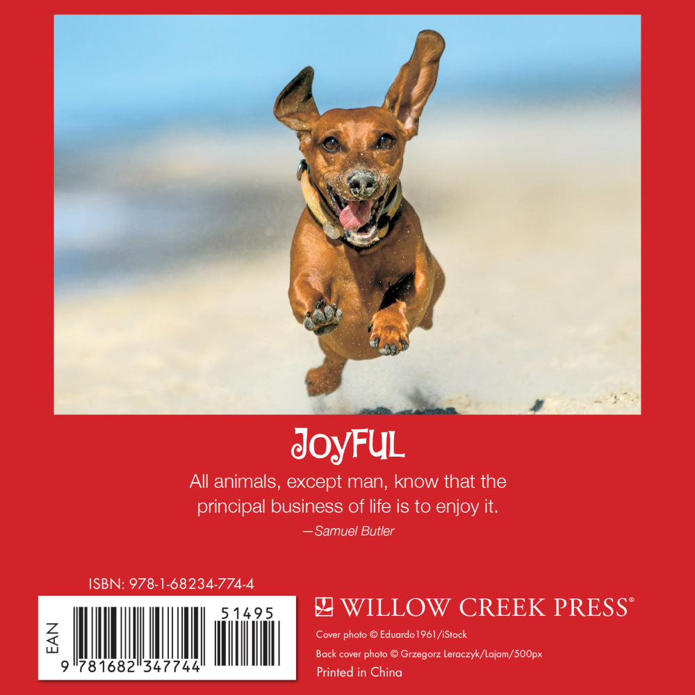 Willow Creek Press 5-1/2in x 5-1/2in Hardcover Gift Book, Dachshund Rules