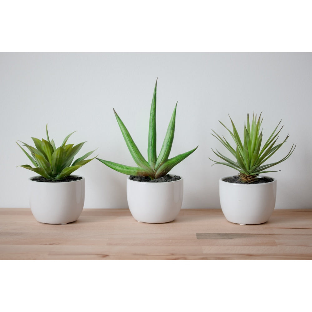 Nearly Natural 8-1/2inH Polyester 3-Piece Southwest Agave Collection, Green