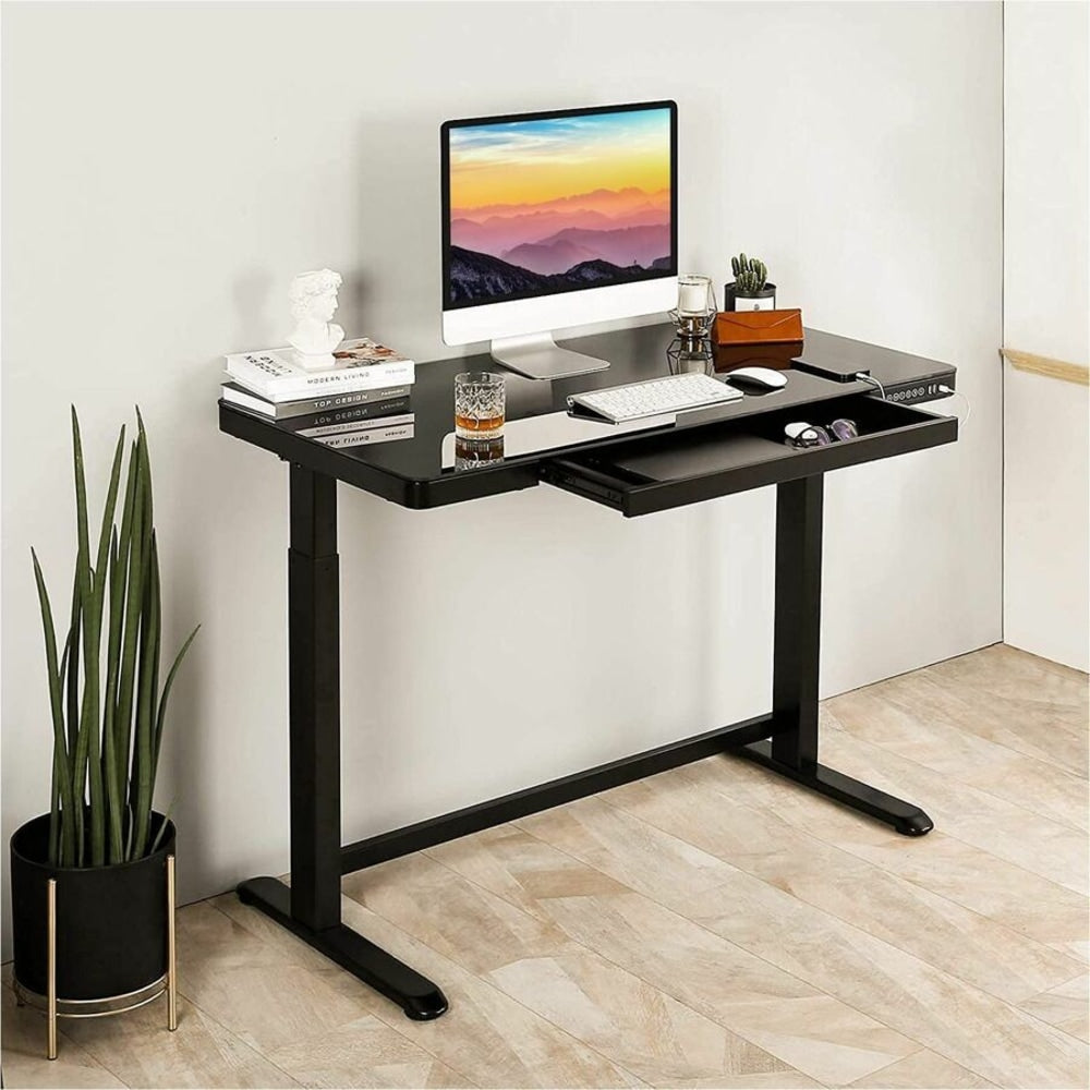 Rise Up Electric 46inW Standing Computer Desk, Black